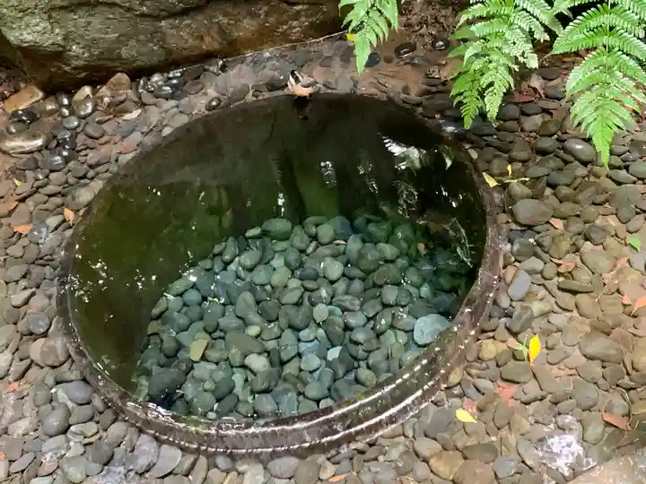 明治神宮の庭園
