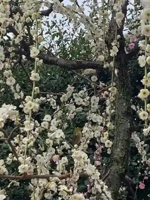 城南宮(京都府)