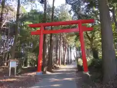 戸隠神社の鳥居