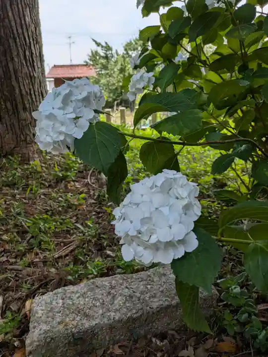 大領神社(岐阜県)