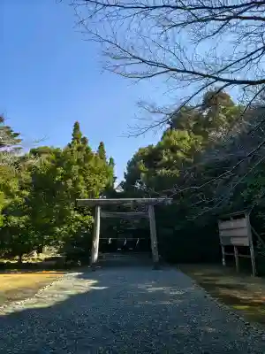 伊良湖神社の{uncategorized: "未分類", other: "その他", undefined: "問題あり", building: "その他建物", grave: "お墓", sacred_gate: "鳥居", guardian: "狛犬", statue: "像", buddha: "仏像", history: "歴史", nature: "自然", garden: "庭園", animal: "動物", pagoda: "塔", temizu: "手水舎", mountain_gate: "山門・神門", sanctuary: "本殿・本堂", subordinate: "末社・摂社", art: "芸術", scenery: "景色", jizo: "地蔵", ema: "絵馬", goshuin: "御朱印", omikuji: "おみくじ", items: "授与品その他", amulet: "お守り", goshuincho: "御朱印帳", eats: "食事", festival: "お祭り", votive_dance: "神楽", shichigosan: "七五三参", wedding: "結婚式", experience: "体験その他", initially: "初詣", around: "周辺", anti_infection: "感染症対策"}