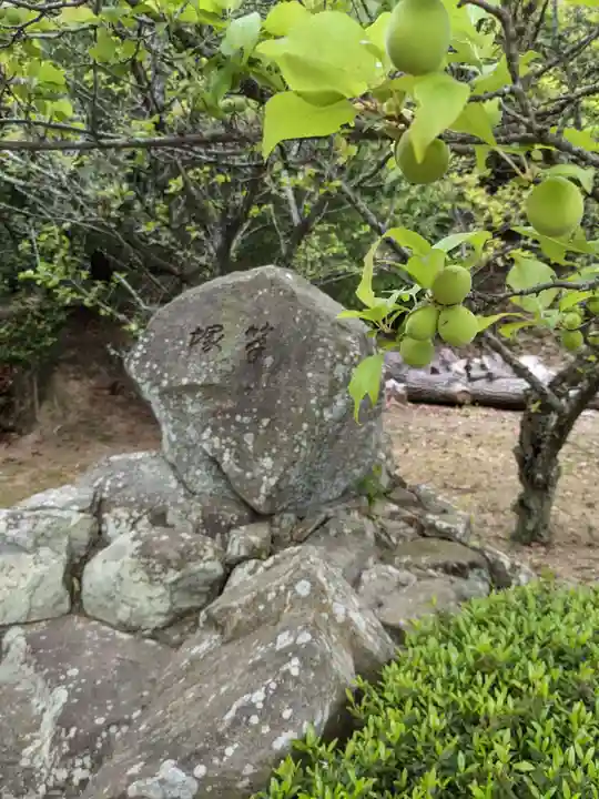 金崎神社(香川県)