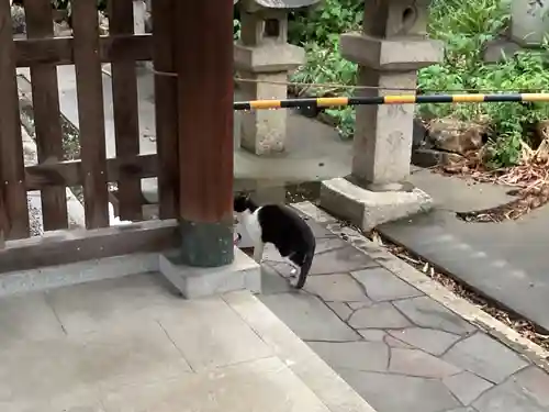 天王坊稲荷神社(岐阜県)