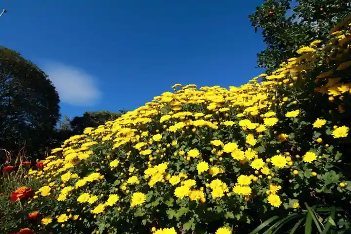 豊景神社の庭園