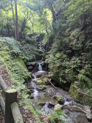 養老神社の自然