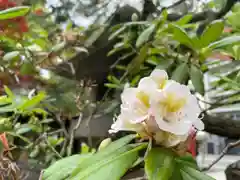 彌彦神社　(伊夜日子神社)(北海道)