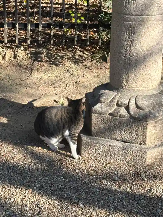 住吉大社(大阪府)