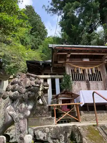 天鷹神社の狛犬