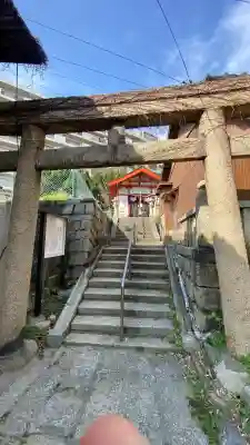 末廣稲荷神社の{uncategorized: "未分類", other: "その他", undefined: "問題あり", building: "その他建物", grave: "お墓", sacred_gate: "鳥居", guardian: "狛犬", statue: "像", buddha: "仏像", history: "歴史", nature: "自然", garden: "庭園", animal: "動物", pagoda: "塔", temizu: "手水舎", mountain_gate: "山門・神門", sanctuary: "本殿・本堂", subordinate: "末社・摂社", art: "芸術", scenery: "景色", jizo: "地蔵", ema: "絵馬", goshuin: "御朱印", omikuji: "おみくじ", items: "授与品その他", amulet: "お守り", goshuincho: "御朱印帳", eats: "食事", festival: "お祭り", votive_dance: "神楽", shichigosan: "七五三参", wedding: "結婚式", experience: "体験その他", initially: "初詣", around: "周辺", anti_infection: "感染症対策"}