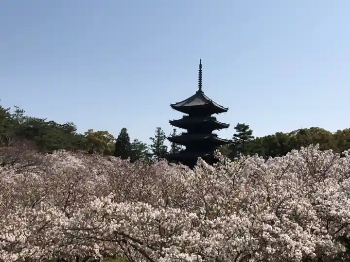 仁和寺のその他建物
