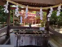 岩槻久伊豆神社の手水