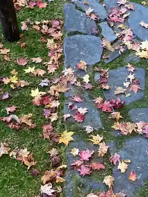 法然院(京都府)