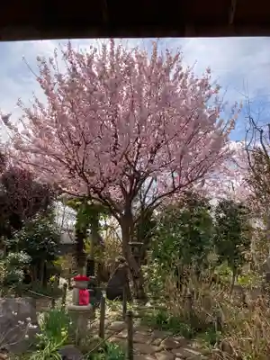 常泉寺(神奈川県)