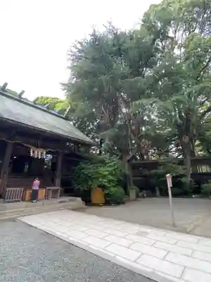 報徳二宮神社の本殿・本堂