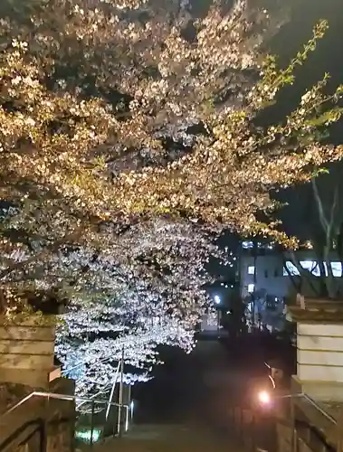 如宝寺(福島県)