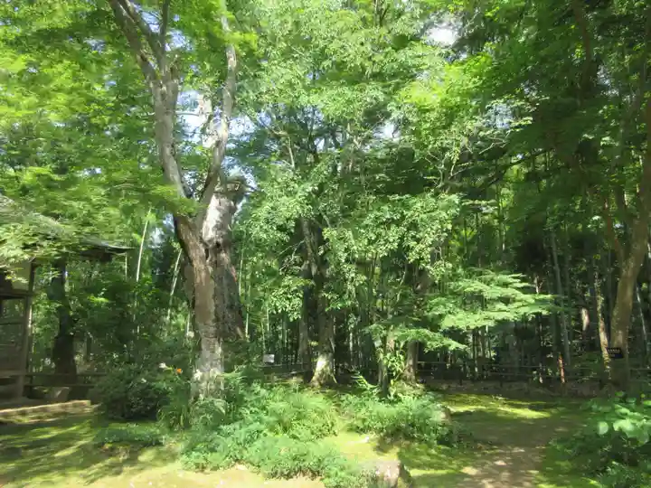 中尊寺(岩手県)