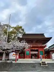 富士山本宮浅間大社(静岡県)