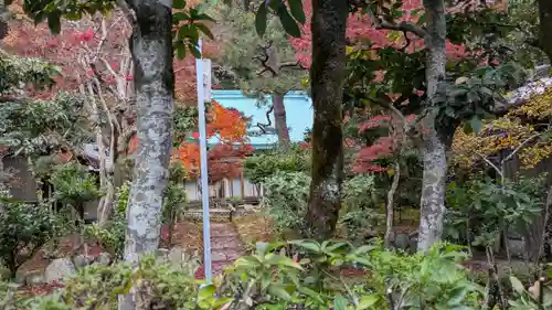 竹林寺(京都府)