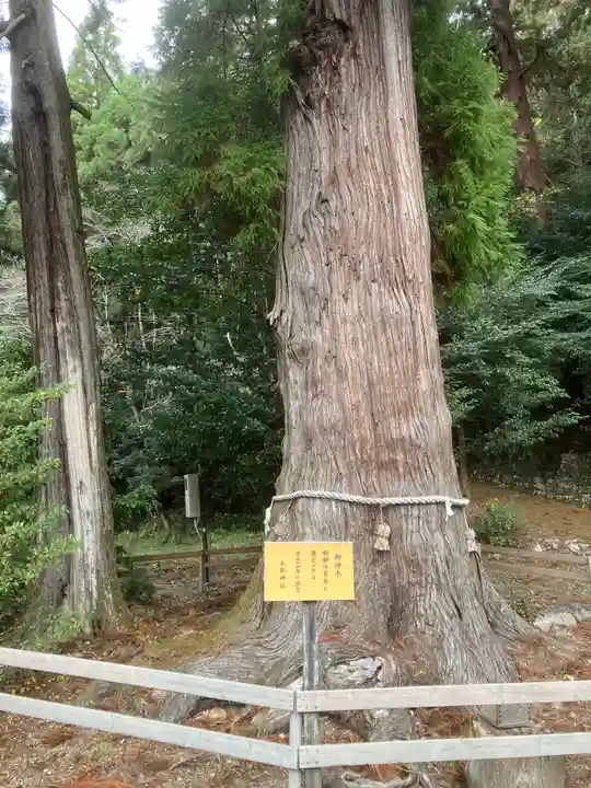 大舩神社(八百津町)(岐阜県)