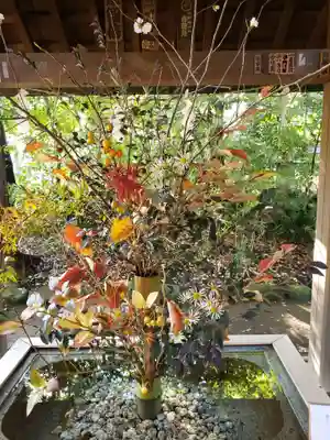 赤坂氷川神社(東京都)