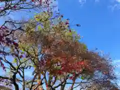 石濱神社(東京都)