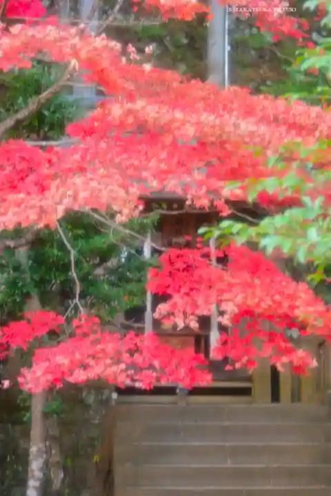 大山阿夫利神社(神奈川県)