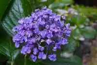 杉山谷不動尊(京都府)