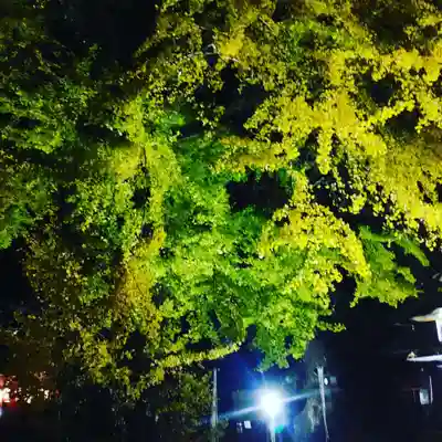 七所宮(熊本県)