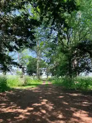 恵庭神社(北海道)