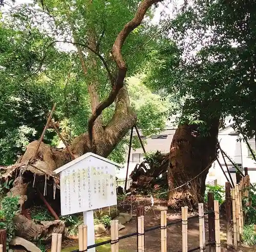 草薙神社の自然