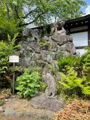 玉川神社の狛犬