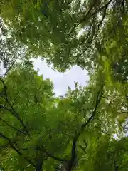 柳谷観音　楊谷寺(京都府)