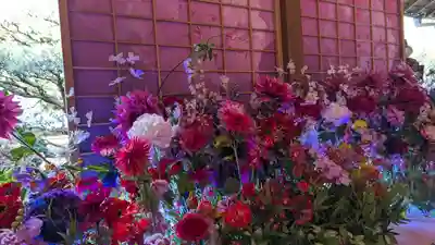 隨心院(随心院)(京都府)