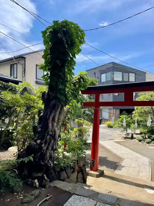 由比若宮(元鶴岡八幡宮)(神奈川県)
