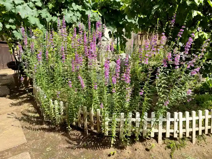 福王山 慈眼寺(東京都)