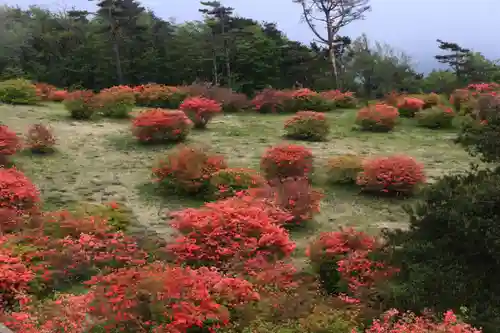 高柴山神社の周辺