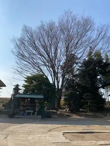 常楽寺のその他建物