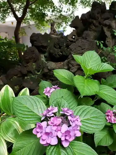 五十稲荷神社(栄寿稲荷神社)(東京都)