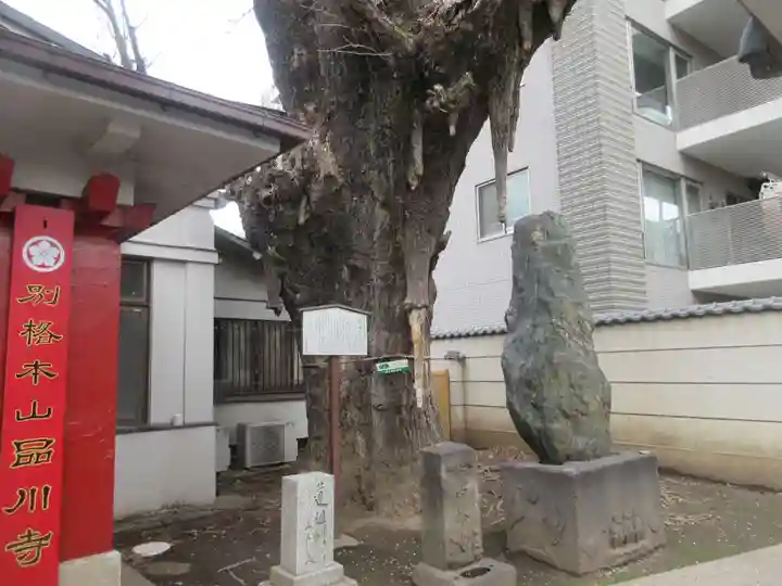 品川寺(東京都)