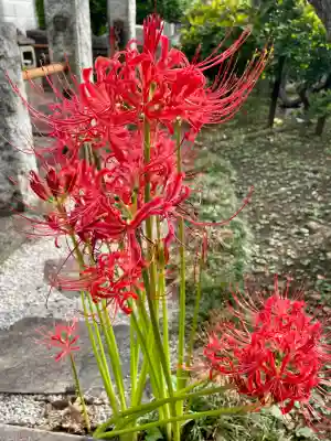 花蔵院(東京都)