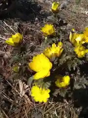 前山寺の自然