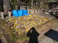 西新井大師総持寺の手水