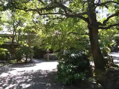 天徳寺(東京都)