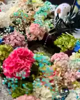 札幌諏訪神社の手水舎