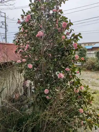 景観寺(神奈川県)