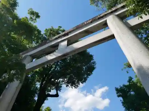 秩父神社の鳥居