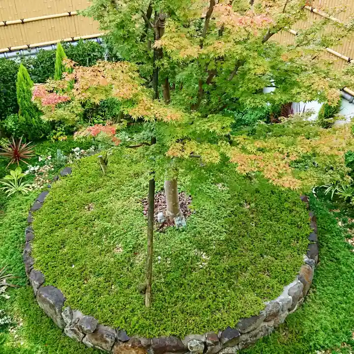 寿量山 速成寺の自然