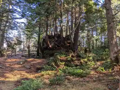 天の岩戸(飛騨一宮水無神社奥宮)(岐阜県)
