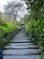 明月院(神奈川県)