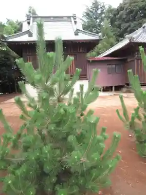 伏木香取神社(茨城県)